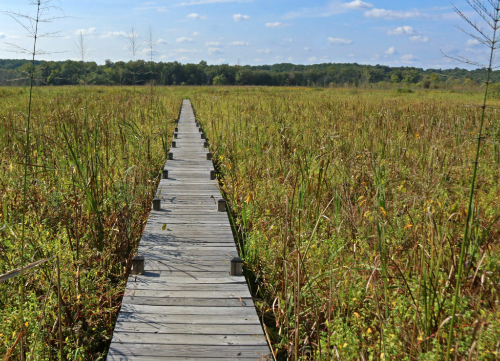 About JugBay Wetlands Sanctuary