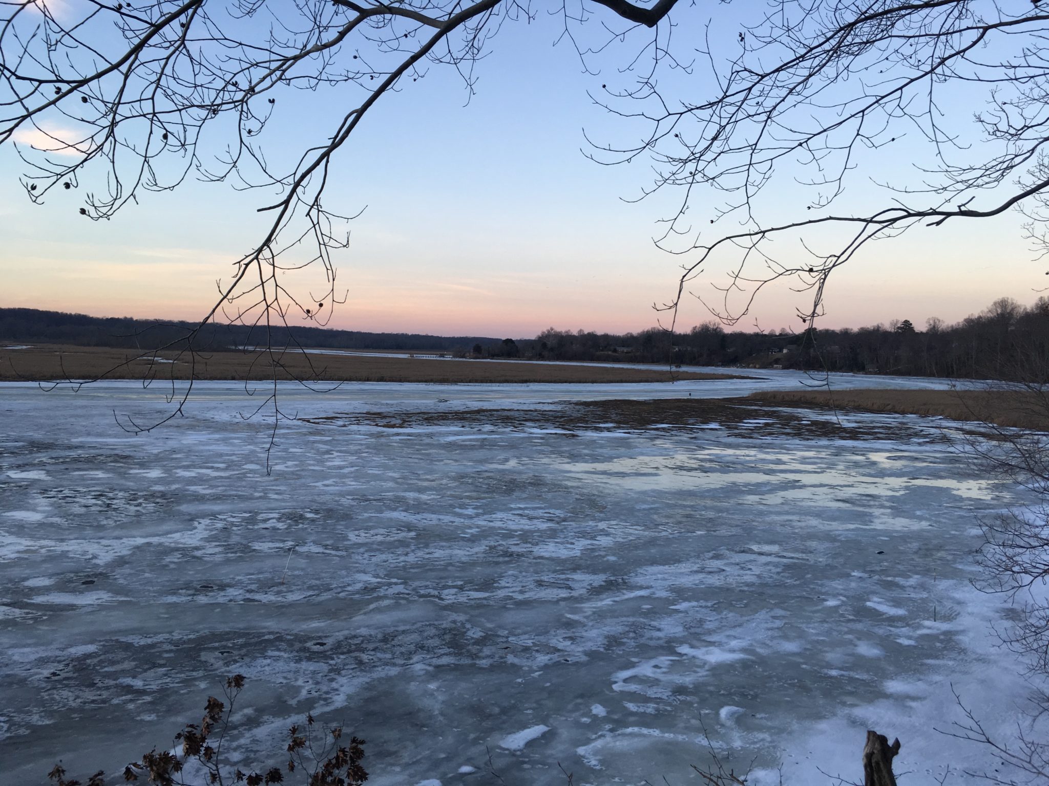 FREE Guided Tour Discover Jug Bay Wetlands Sanctuary JugBay Wetlands