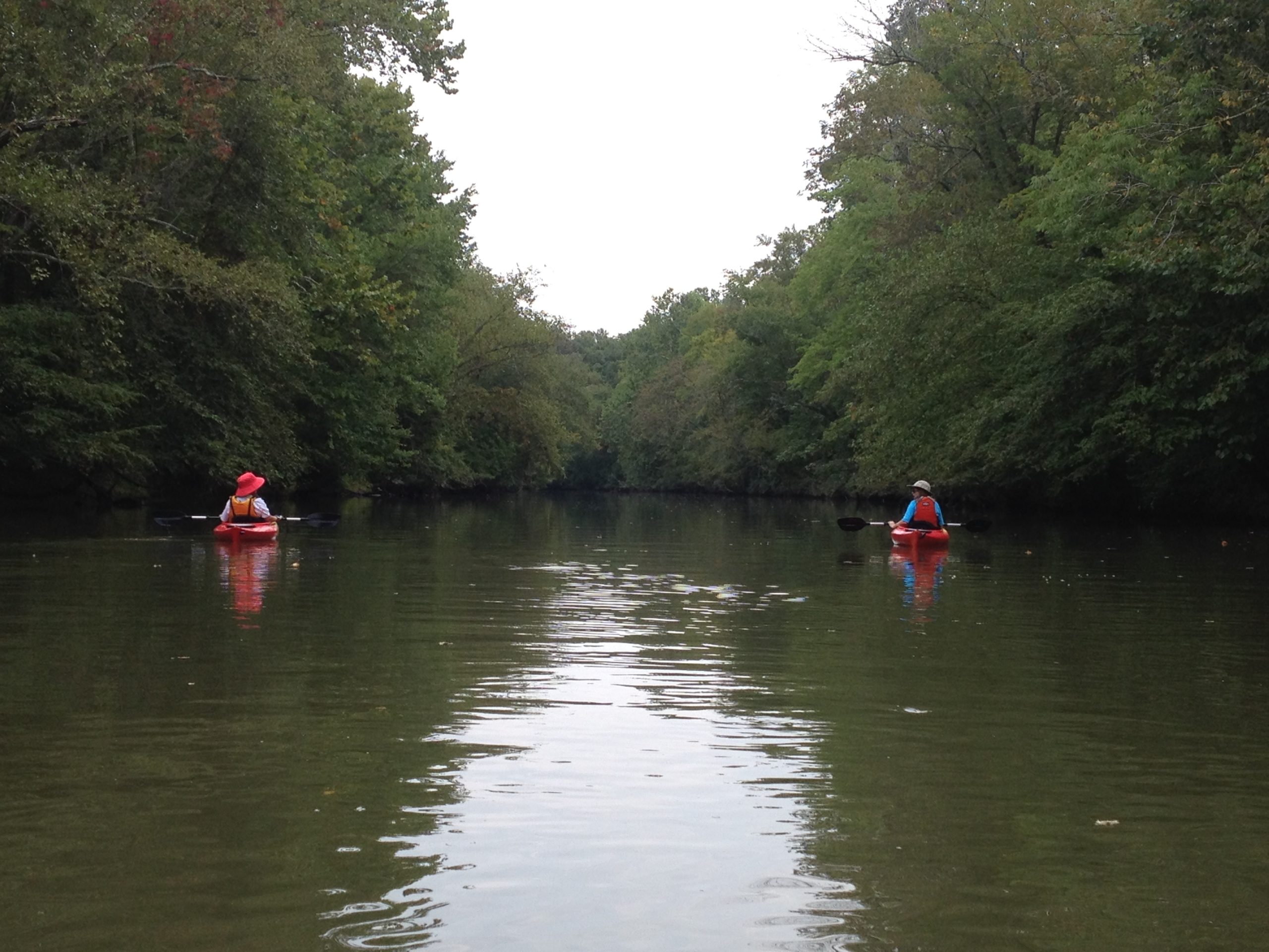 Archaeology of the Patuxent River Kayaking through History JugBay