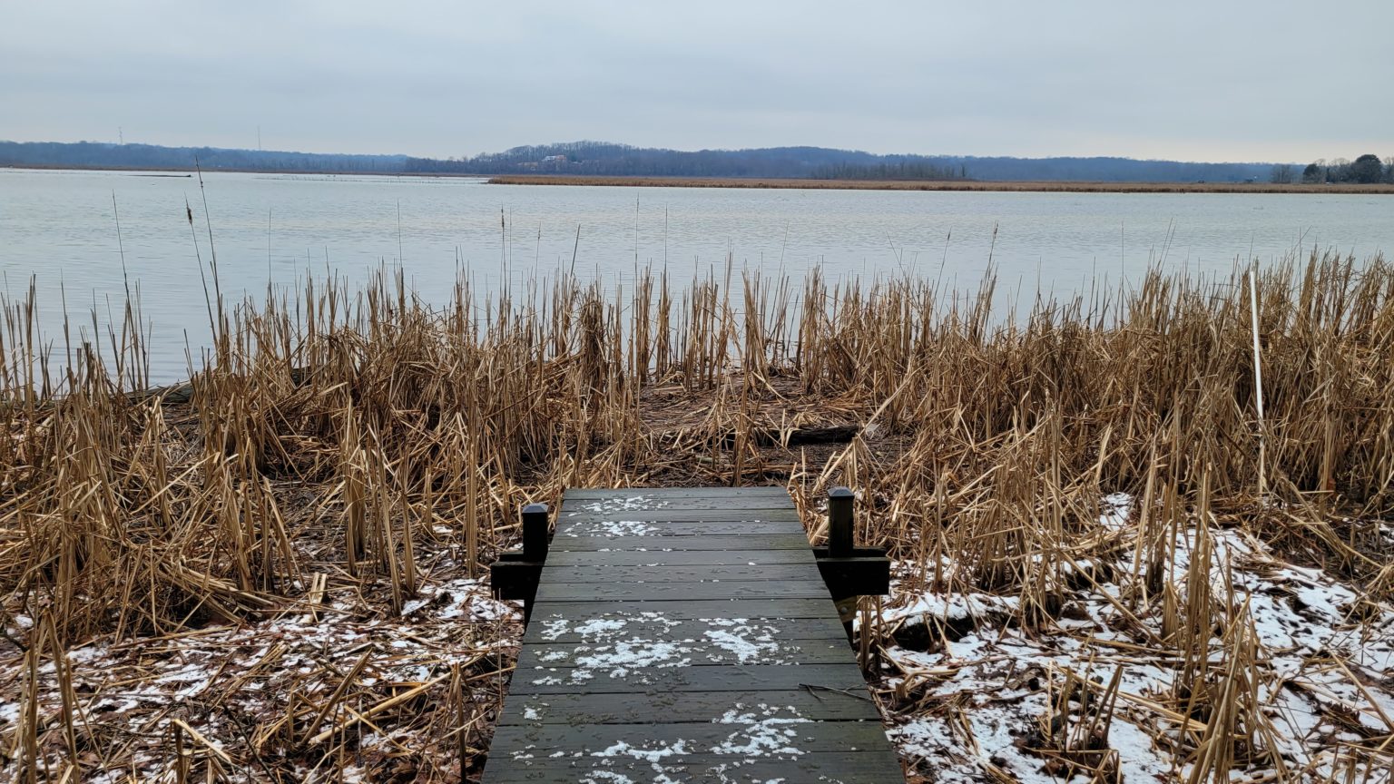 FREE Friday Guided Tour Discover Jug Bay Wetlands Sanctuary JugBay