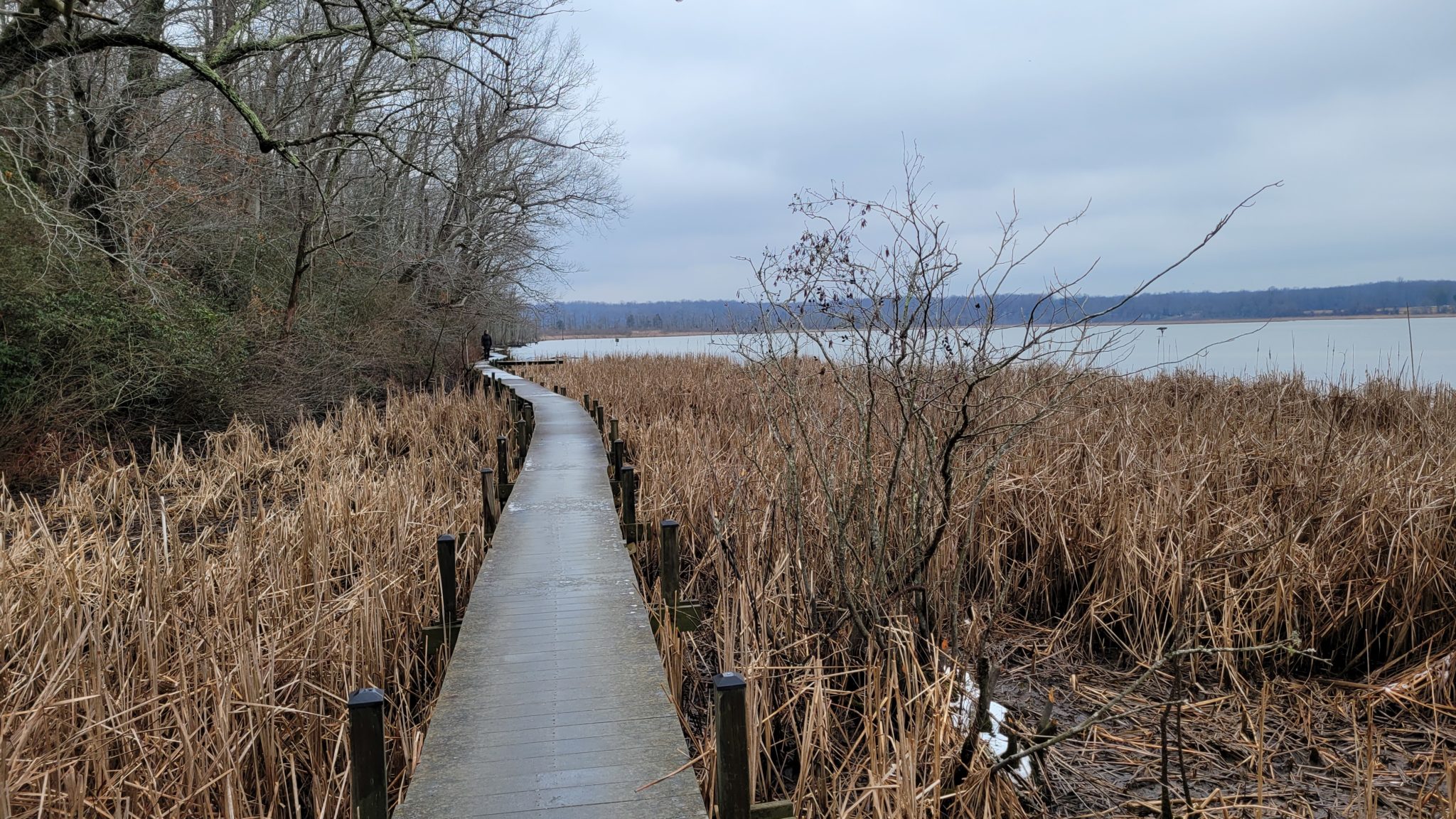 FREE Friday Guided Tour Discover Jug Bay Wetlands Sanctuary JugBay