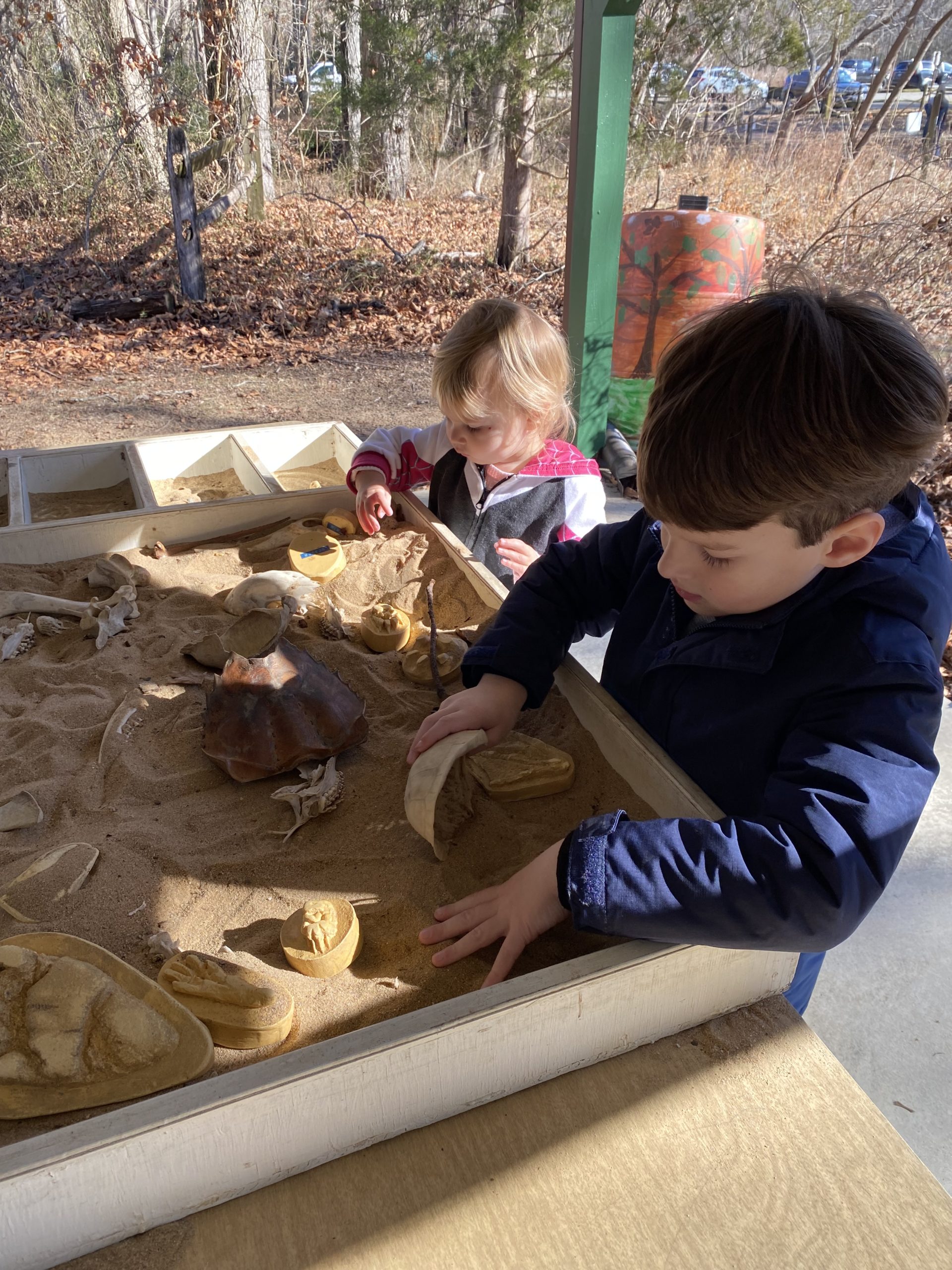 Preschool Explorers Soil and Worms JugBay Wetlands Sanctuary