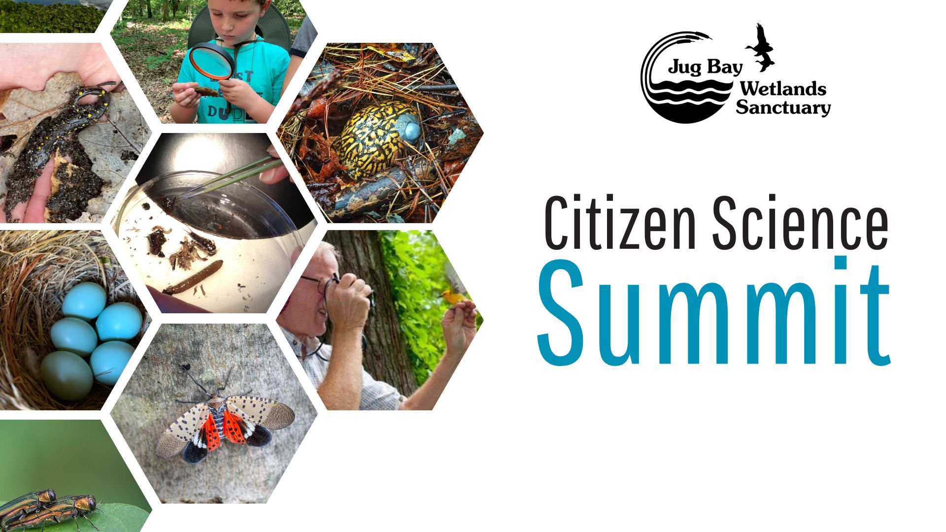 Copy of Copy of Copy of Jug Bay Citizen Science Summit Materials (Presentation)