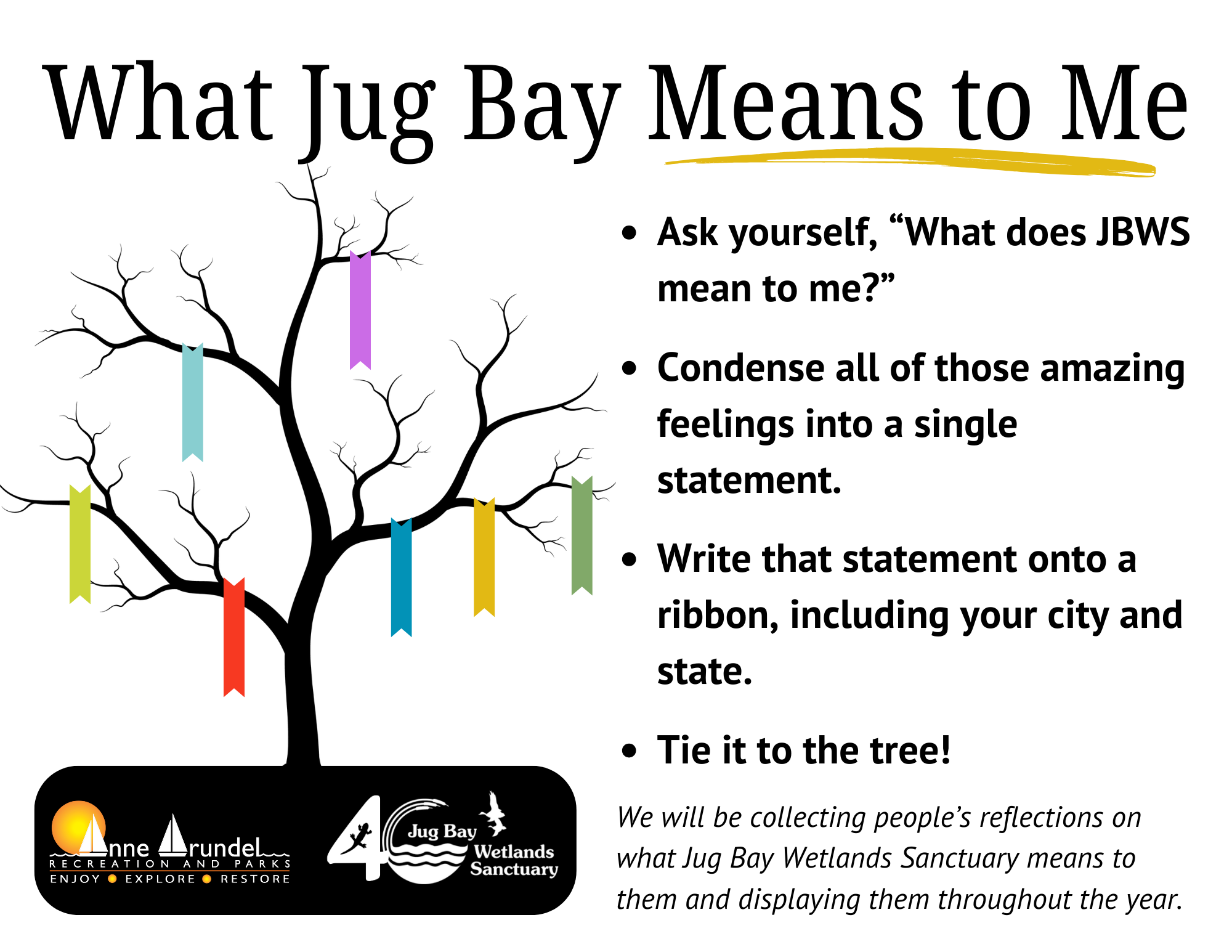 What Jug Bay Means to Me (2)