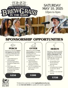 Brewgrass Sponsorship Flyer 2.4