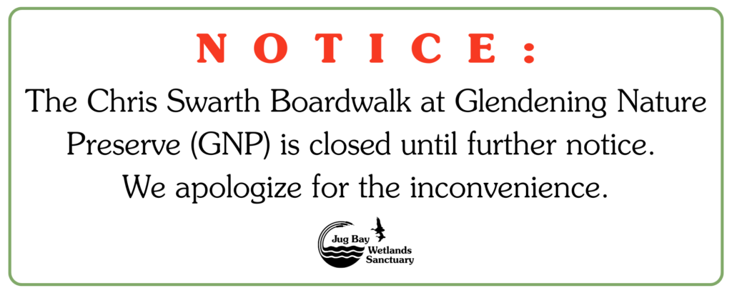 Notice The Chris Swarth Boardwalk at Glendening Nature Preserve (GNP) is closed until further notice. We apologize for the inconvenience.